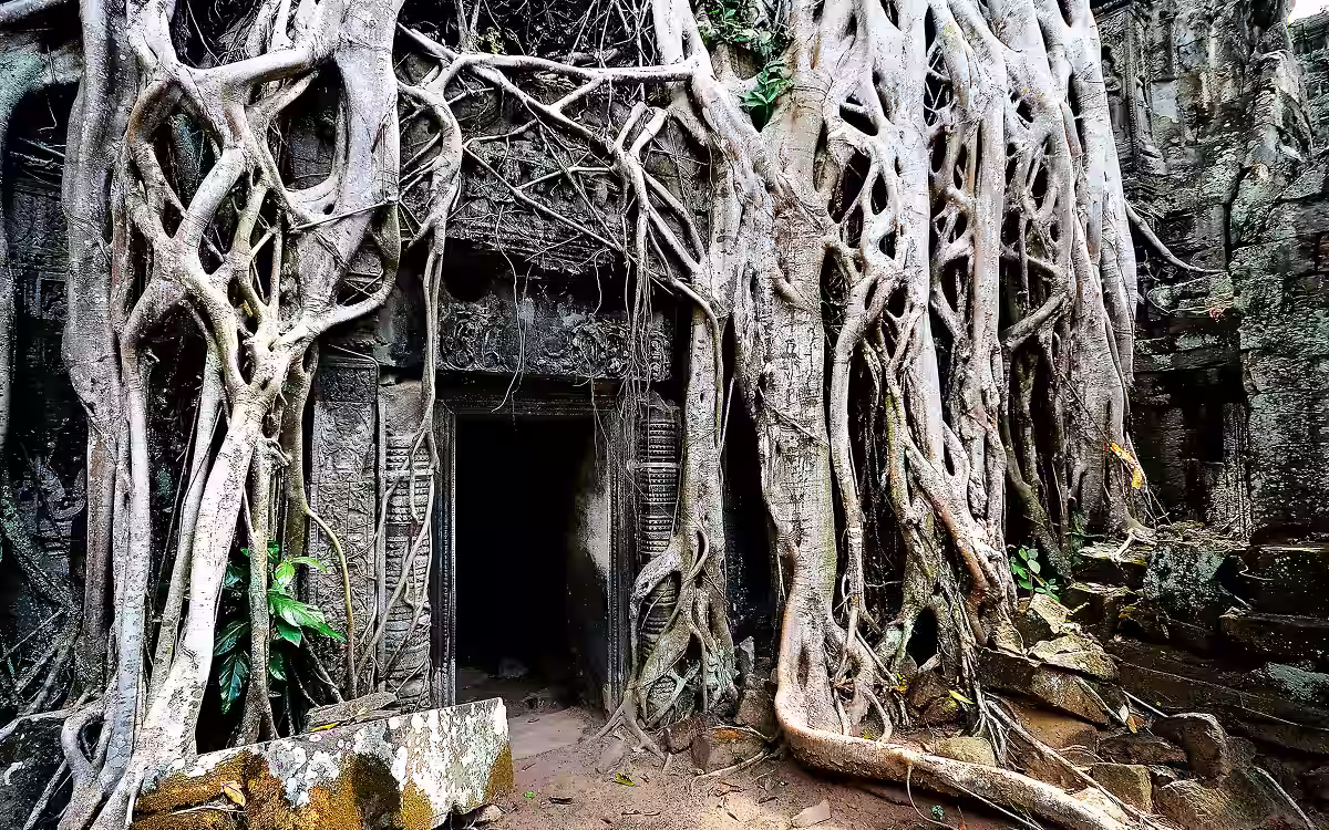 Mysterious ancient places, a khmer temple half hidden in the jungle in the Angkor region, Cambodia