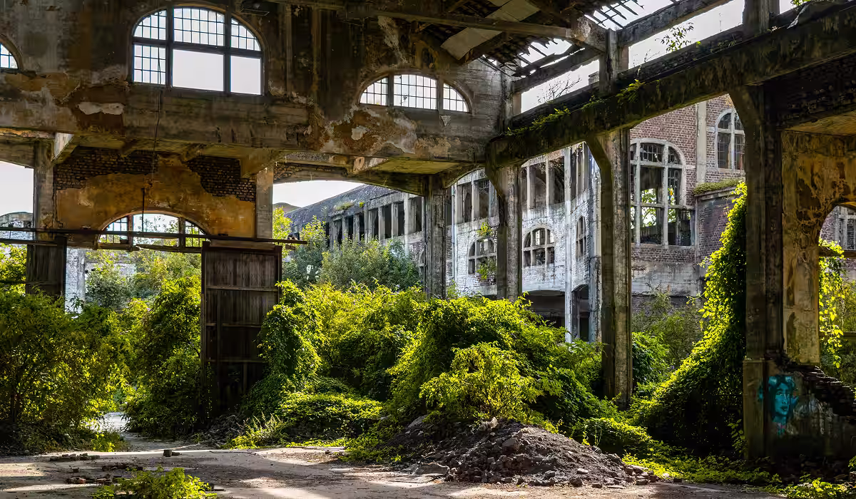 Abandoned factory reclaimed by overgrown vegetation, strange geography