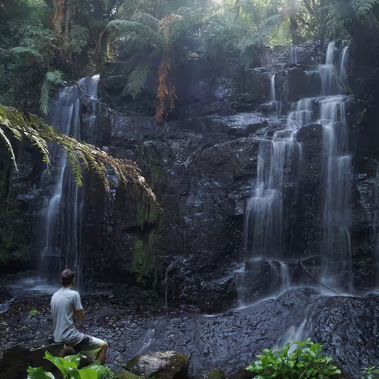 Person sitting alone at a forest waterfall — immersion in natural environments has measurable effects on stress hormones and attention restoration