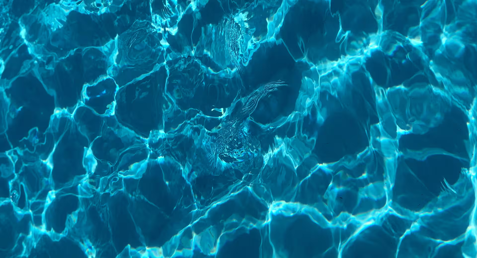 Does Consciousness Precede Matter? What the Science Actually Shows